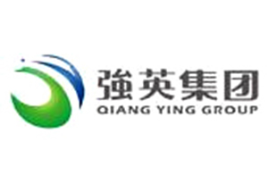 湖北强英集团
