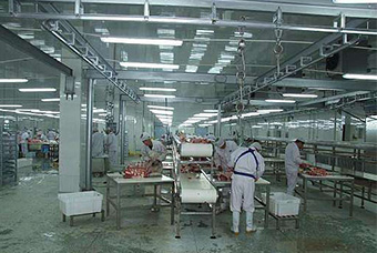 屠宰机械升级更新肉类加工机械有突破